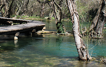 button-krka